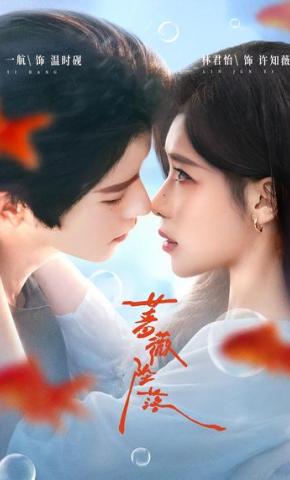 短剧《蔷薇坠落》海报