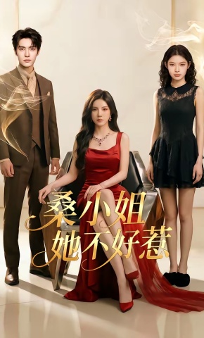 短剧《桑小姐她不好惹》海报