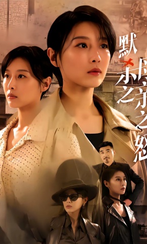 短剧《默杀之母亲之怒》海报