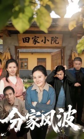 短剧《分家风波》海报