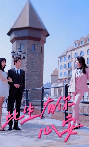 短剧《此生有你心安》海报