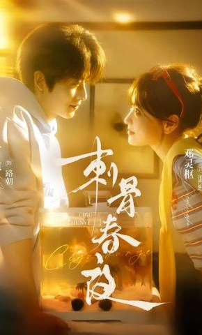 短剧《刺骨春夜》海报