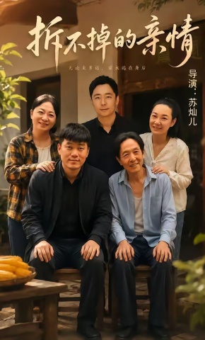短剧《拆不掉的亲情》海报