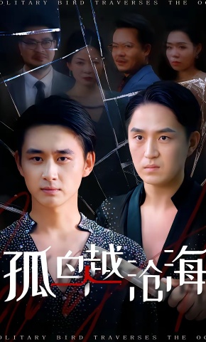 短剧《孤鸟越沧海》海报