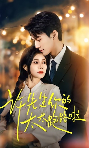 短剧《许先生你的太太跑路啦》海报
