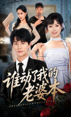 短剧《谁动了我的老婆本》海报
