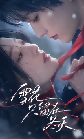 短剧《雪花只留在冬天》海报