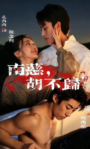 短剧《南慈，胡不归》海报