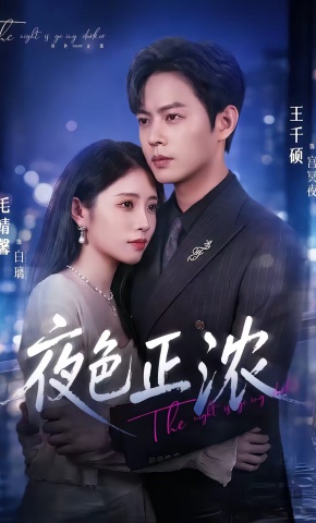 短剧《夜色正浓》海报