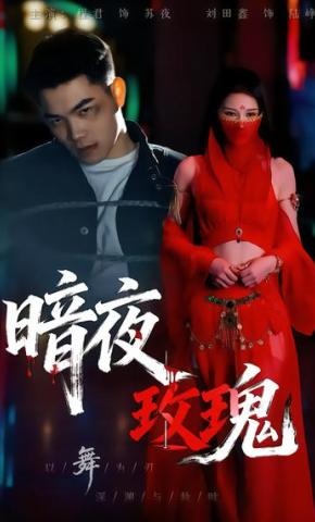 短剧《暗夜玫瑰1》海报