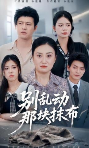 短剧《别乱动那块抹布》海报
