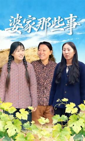 短剧《婆家那些事》海报