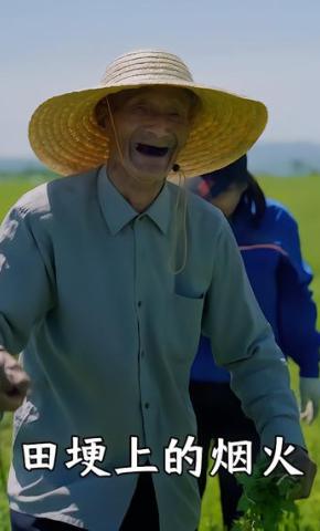 短剧《田埂上的烟火》海报
