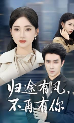 短剧《归途有风，不再有你》海报