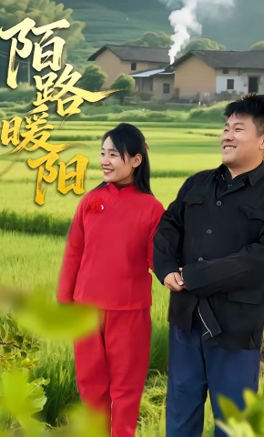 短剧《陌路暖阳》海报