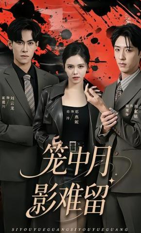 短剧《笼中月影难留》海报