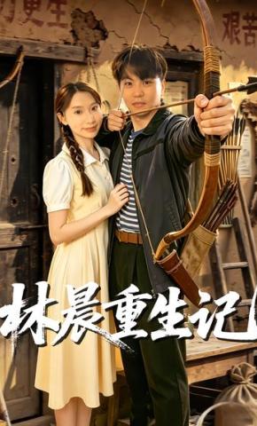 短剧《林晨重生记之二斤猪肉救个媳妇》海报
