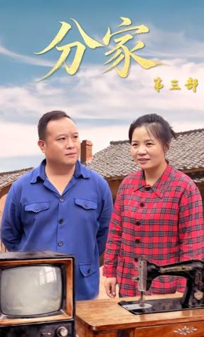 短剧《分家第三部》海报