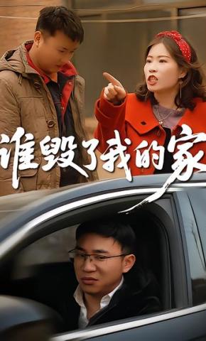 短剧《谁毁了我的家》海报
