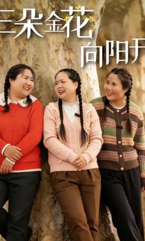 短剧《三朵金花向阳开》海报