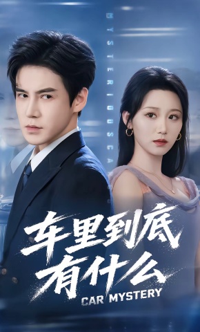 短剧《车里到底有什么》海报